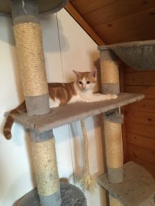 Tom_20160917_0001_klein