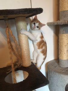 Tom_20160917_0002_klein