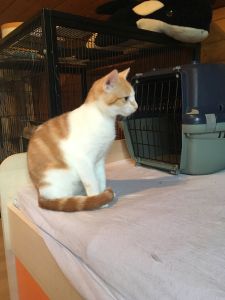 Tom_20160917_0004_klein