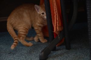 toulouse_20160731_0002_klein