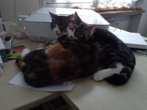 Trixi-Charly_20170208_0001_klein