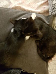 Woody-Winnie_20161219_0001__klein