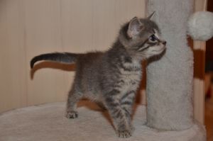 yago_20161009_0003_klein